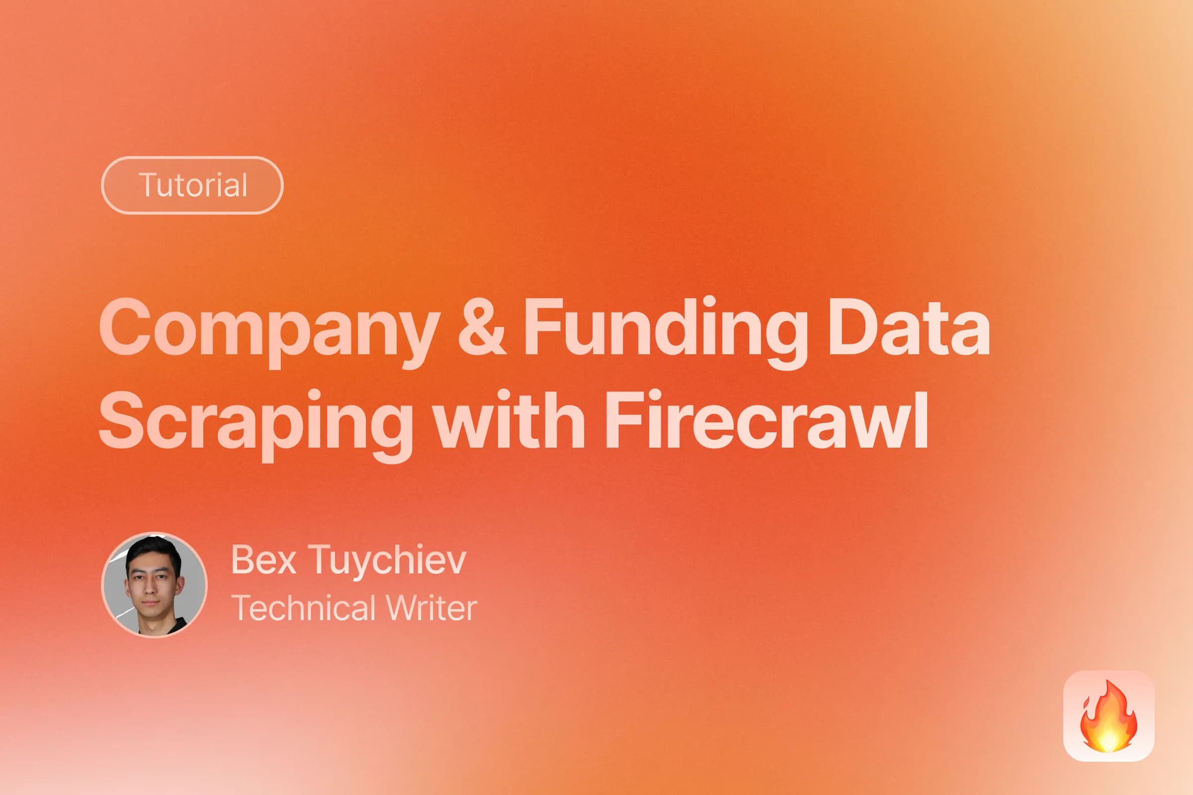 Scraping Company Data and Funding Information in Bulk With Firecrawl and Claude image