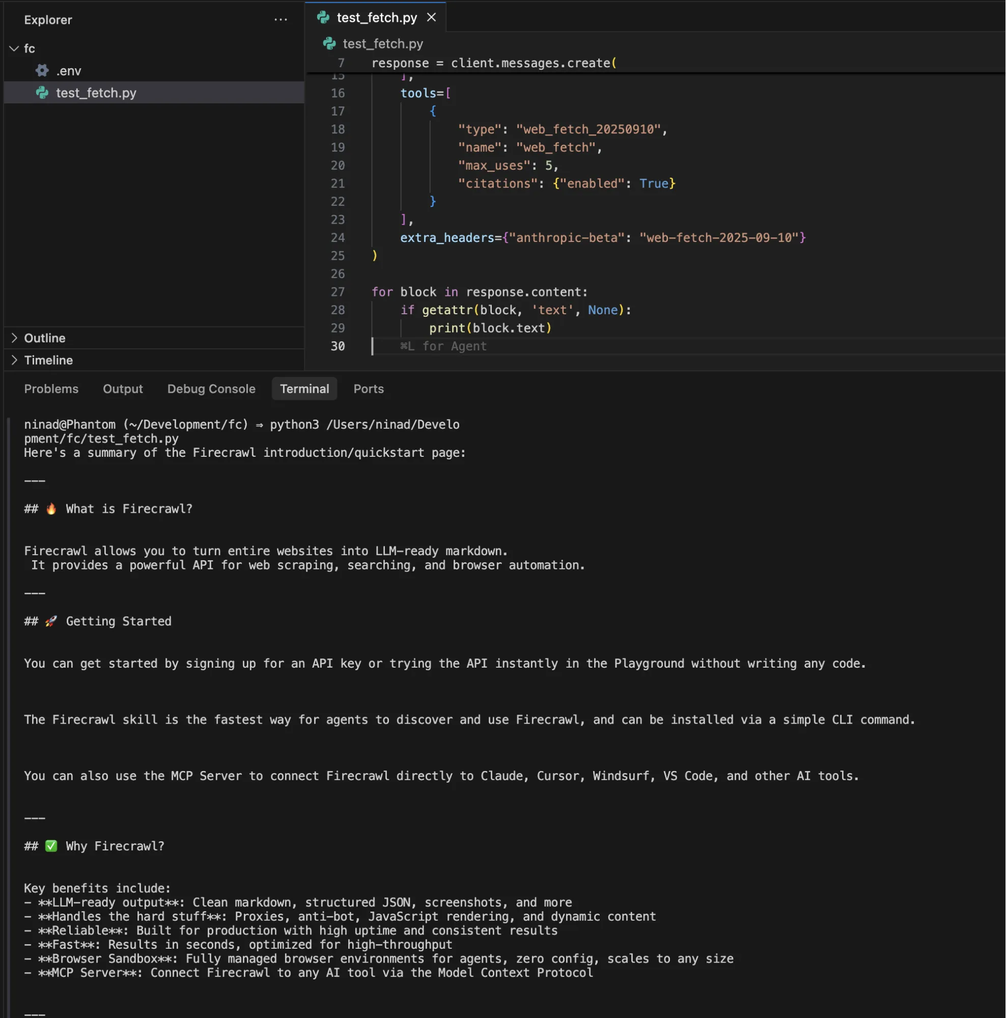 Terminal output showing Claude web fetch in action