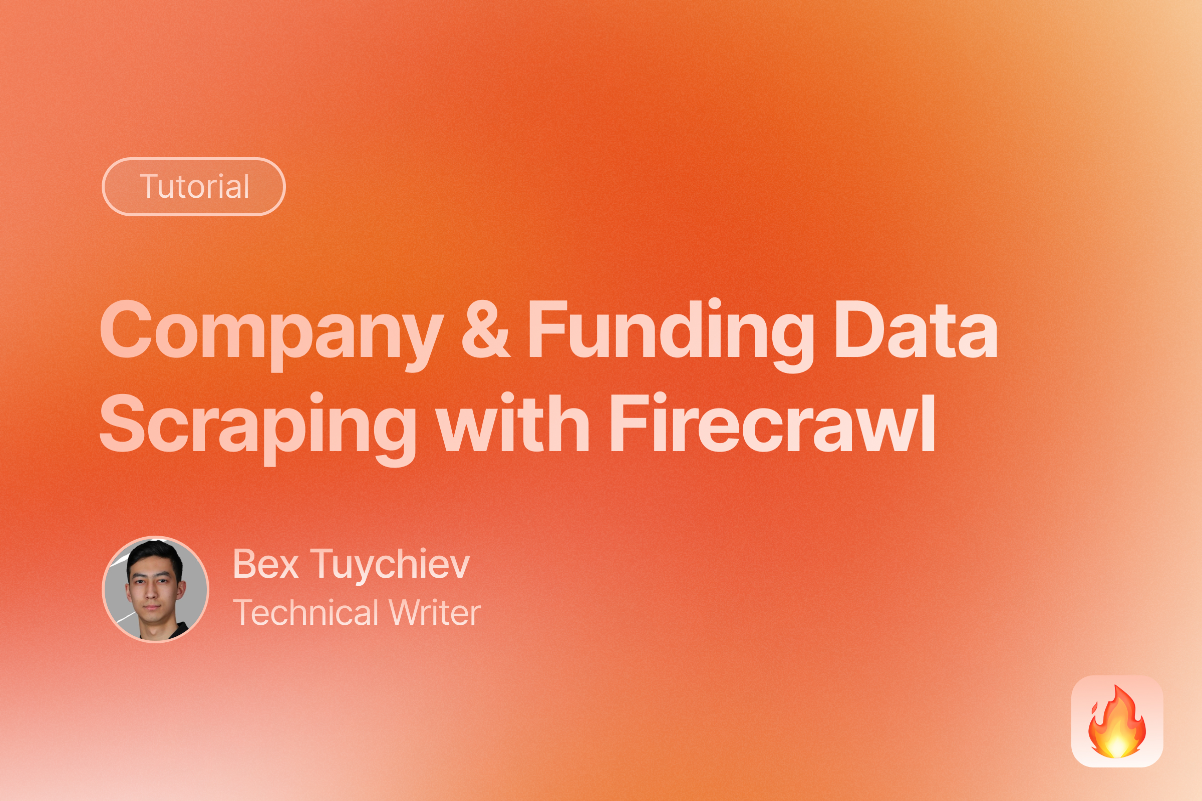 Scraping Company Data and Funding Information in Bulk With Firecrawl and Claude image