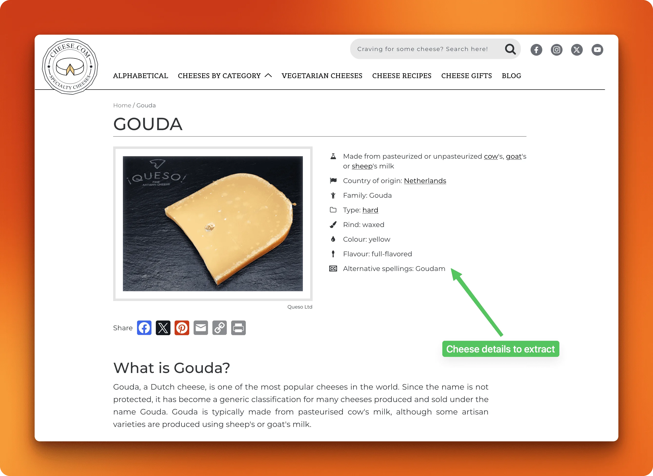 Firecrawl structured data extraction results showing clean JSON output with seven detailed cheese attributes including name, country of origin, cheese type, rind, color, flavor, and description extracted from individual cheese pages