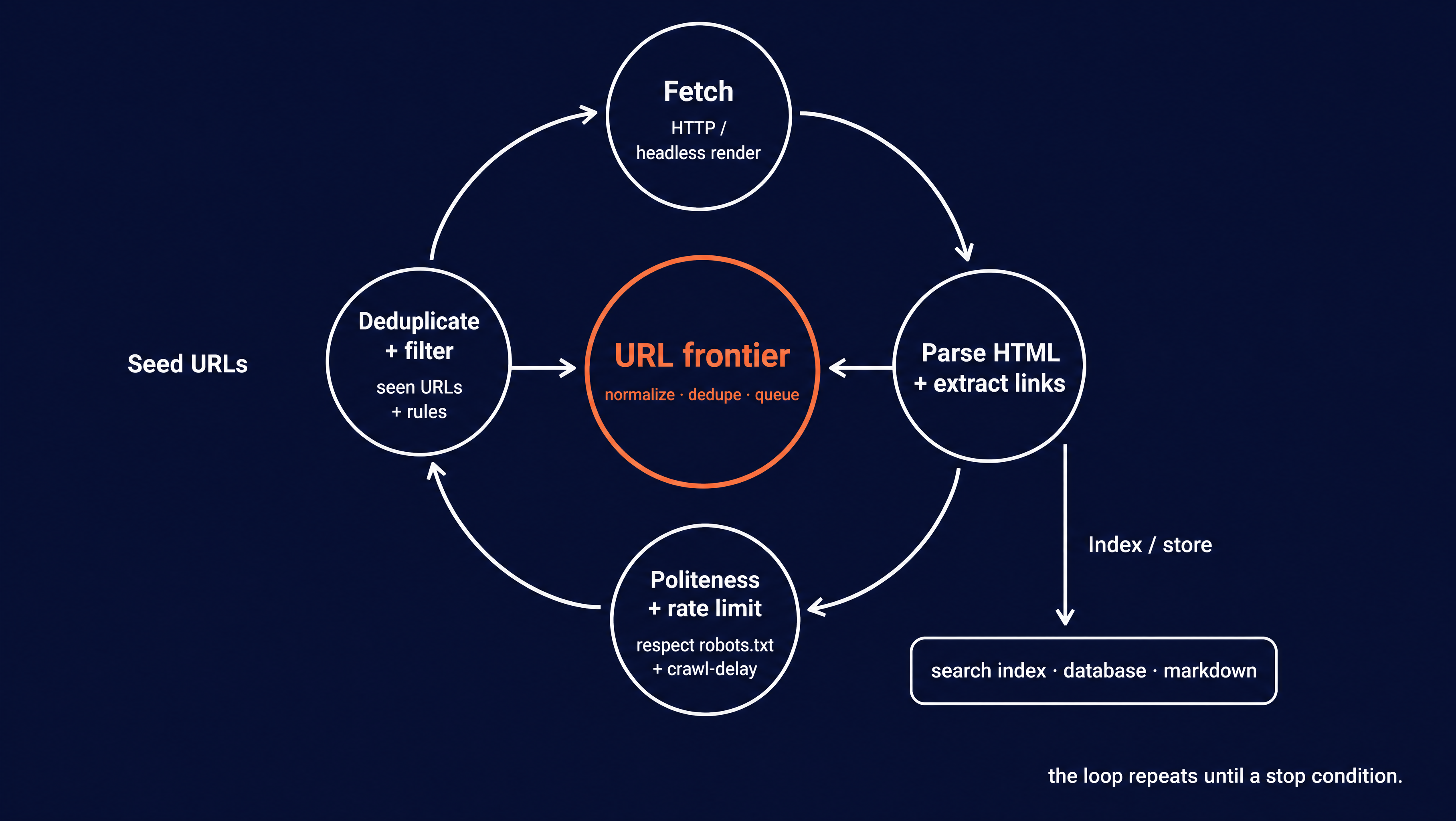 A cyclic diagram with a central URL frontier queue feeding fetch and parse stages that loop discovered links back into the queue, while extracted content branches off to storage, illustrating how a crawler discovers pages continuously from seed URLs until it stops.
